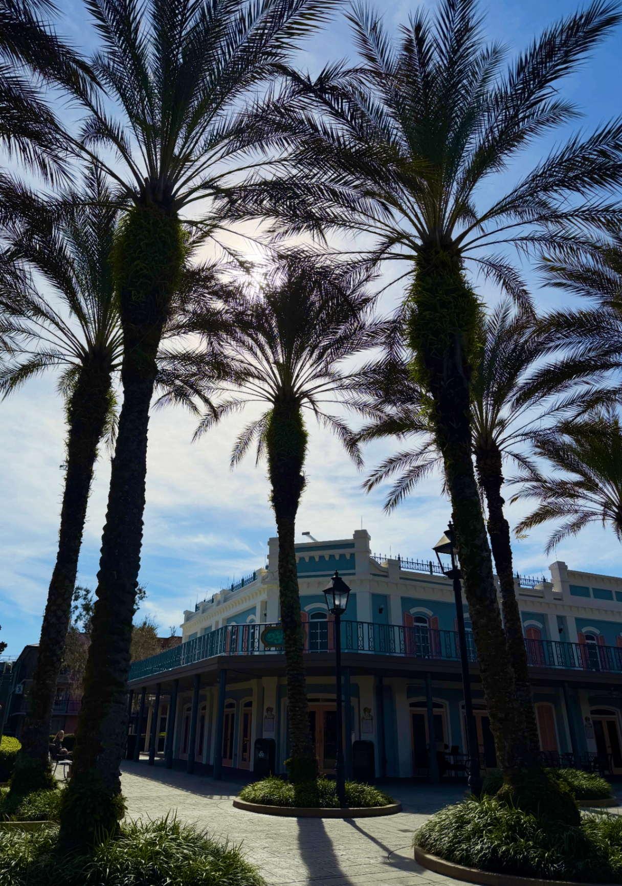 Florida palm trees at sunset with a Disney castle silhouette in the distance